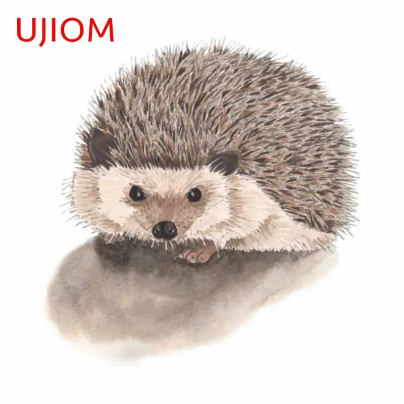 UJIOM 13cm Funny Hedgehog Cute - Baby Nursery Vinyl Wall Stickers recension och pris